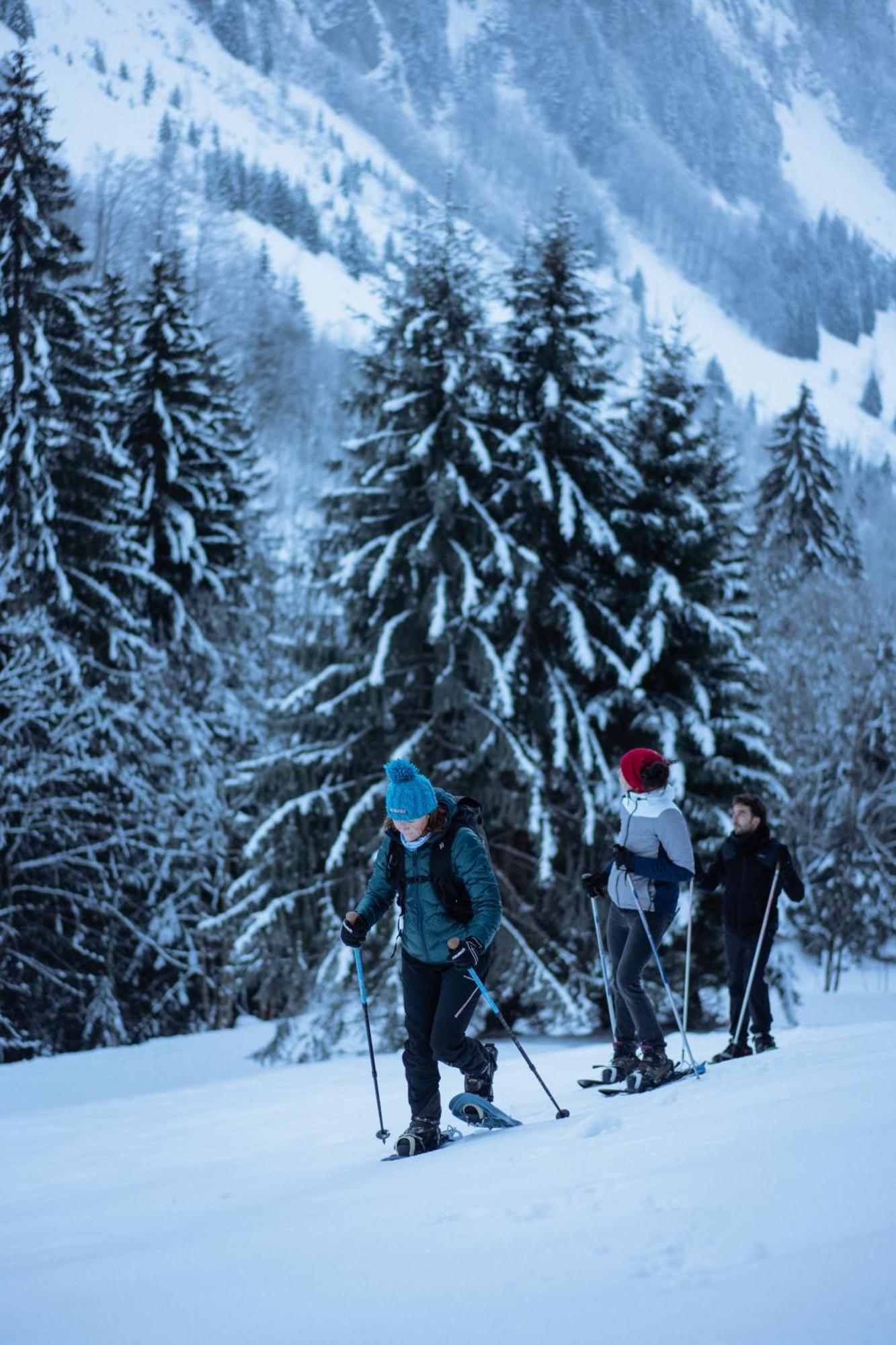 Chalet 1864 Le Grand-Bornand Zewnętrze zdjęcie